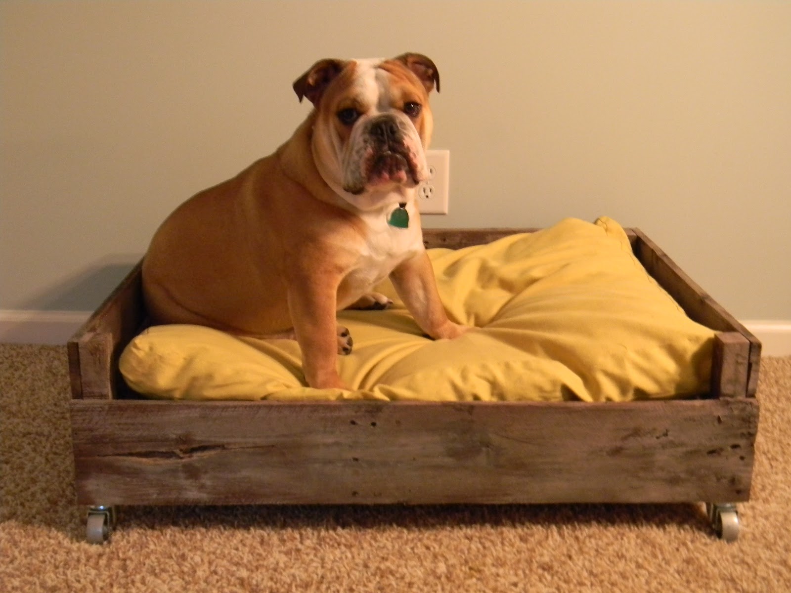 Dog Bed Frame Plans PDF Woodworking
